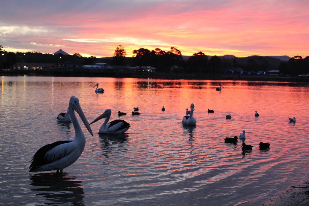 Holiday Haven Burrill Lake Eksteriør bilde